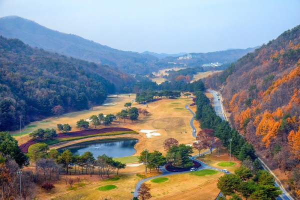 골프장의 전경